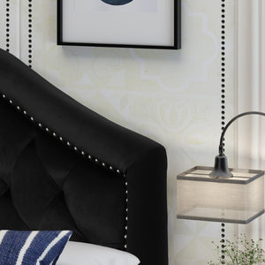 English Elm Tufted Queen Headboard with Nailhead Trim Solid Wood Frame Adjustable Iron Legs Black 57875.00NVLTBLK