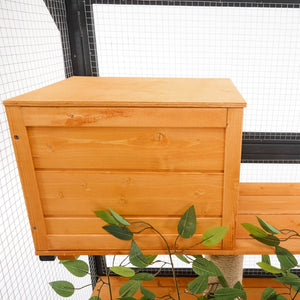 English Elm Outdoor Pine Wood Catio Enclosure with Platforms Condos and Walk-in Access for Cats N719P283198B