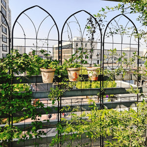 English Elm 4 Pack Powder-coated Steel Garden Trellises Rustproof Climbing Plant Support Panels W158681138