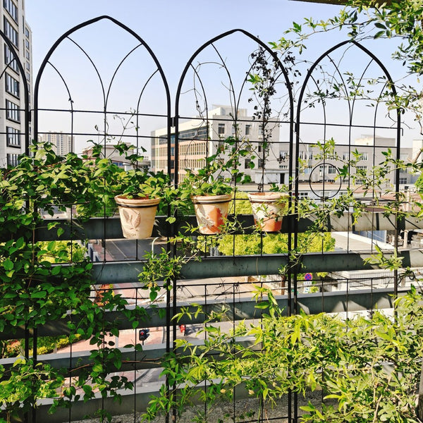 English Elm 4 Pack Powder-coated Steel Garden Trellises Rustproof Climbing Plant Support Panels W158681138
