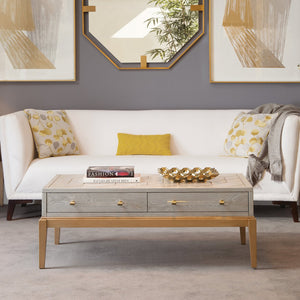 Basset Mirror Perrine Stylish Wood Rectangular Cocktail Table With Antique Gold Inlay & Acrylic Hardware Accents Gray Hardwood Solids,Acrylic 2430-lr-100