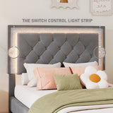 English Elm Twin Size Upholstered Bed Frame With Led Lights,Modern Velvet Platform Bed With Tufted Headboard,Grey