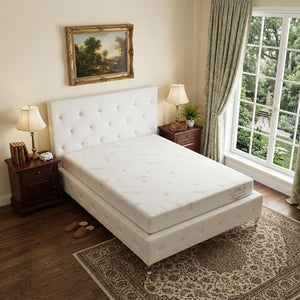 HomeRoots 6 Inch Queen Size Aloe Vera Medium Comfort Memory Foam Mattress for Restful Sleep 248078