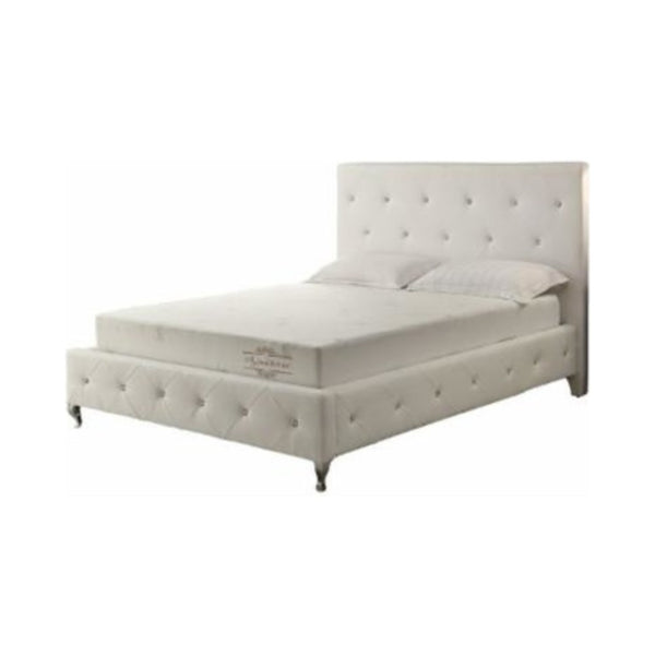 Homeroots 6" Queen Polyester Memory Foam Mattress Covered In A Soft Aloe Vera Fabric  Polyester 248078