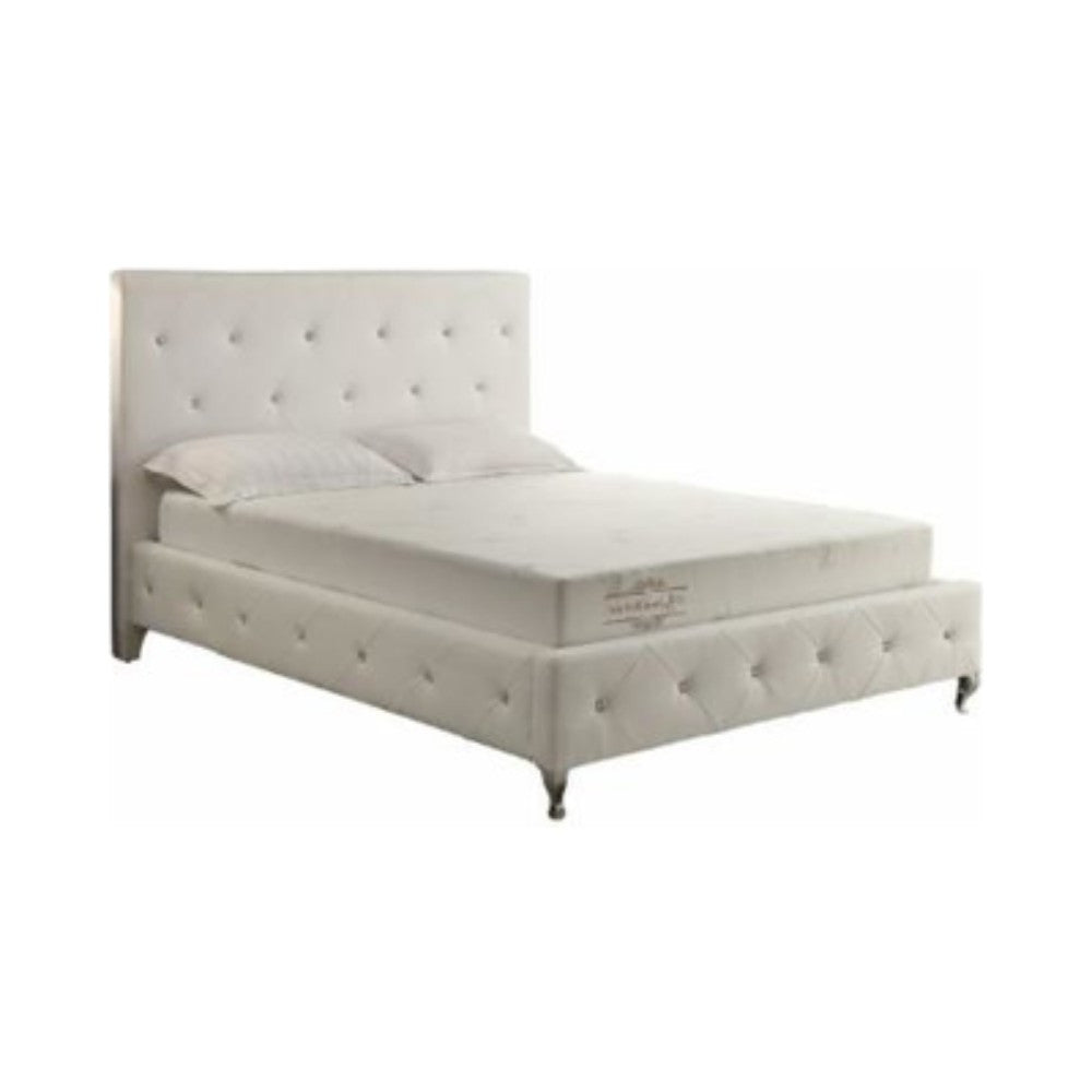 Homeroots 6" Queen Polyester Memory Foam Mattress Covered In A Soft Aloe Vera Fabric  Polyester 248078