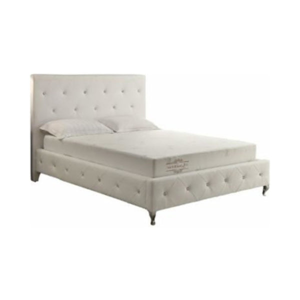 Homeroots 6" Queen Polyester Memory Foam Mattress Covered In A Soft Aloe Vera Fabric  Polyester 248078