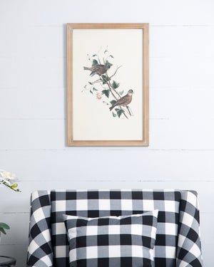 English Elm S/4 Bird Framed Print Set with Brown Fir Wood Frames, Four Nature Bird Artworks for Transitional Decor W2078P205314