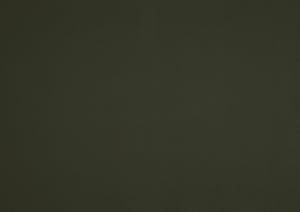 English Elm Modern Tufted Leather Accent Chair with Walnut Wood Frame, Upholstered Seat, Compact Stylish Design Green 28 L x 21 W x 25.75 H B011P271927