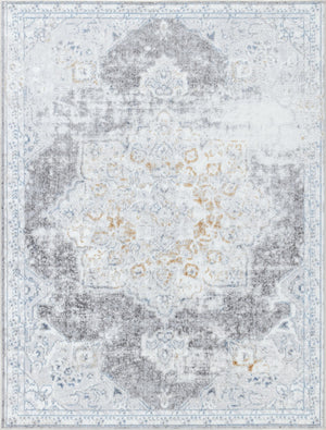 English Elm Legacy Gc_Cam8003 Stylish Multi Area Rug - Durable, Soft, Pet-Friendly For High-Traffic Spaces 7'10"X9'10" B186P181140