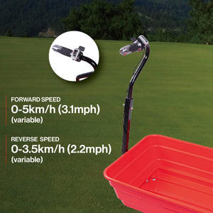 English Elm Four-wheeled Electric Garden Cart 24v Brushless Motor with Tipping Bucket and Pneumatic Tires N727P171071R