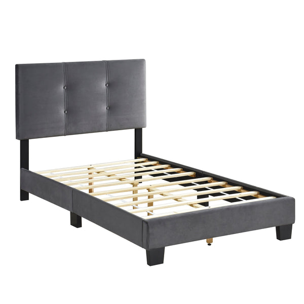 English Elm 1pc Twin Platform Bed Velvet Upholstered Button-Tufted Headboard Adjustable Height Low-Profile Solid Wood Frame 42" x 79.5" Dark Gray 44.5 L x 26 W x 5 H B011P203576