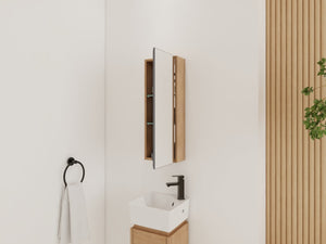 English Elm 10'' Wall Mounted Medicine Cabinet with Adjustable Glass Shelves and Jewelry Organizer W999P470283