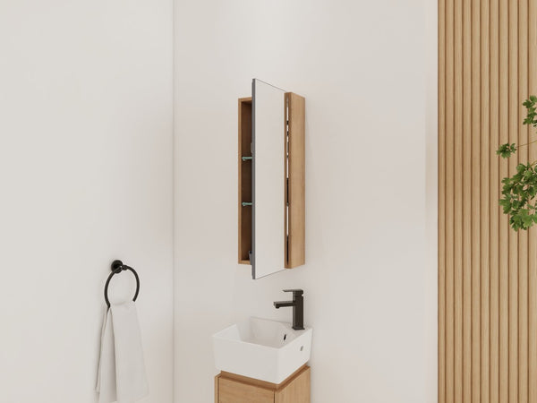 English Elm 10'' Wall Mounted Medicine Cabinet with Adjustable Glass Shelves and Jewelry Organizer W999P470283