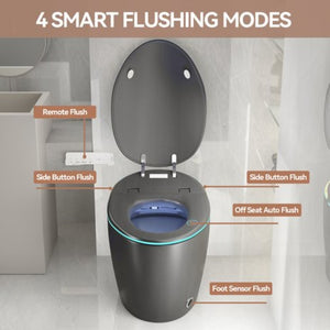 English Elm Unique Smart One Piece Toilet with Bidet Foot Sensor Auto Lid Warm Dryer Night Light W3133P384914