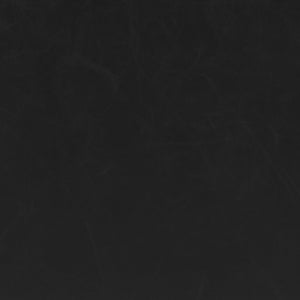 Pago Barstool - Set of 2 Black 110069 Zuo Modern