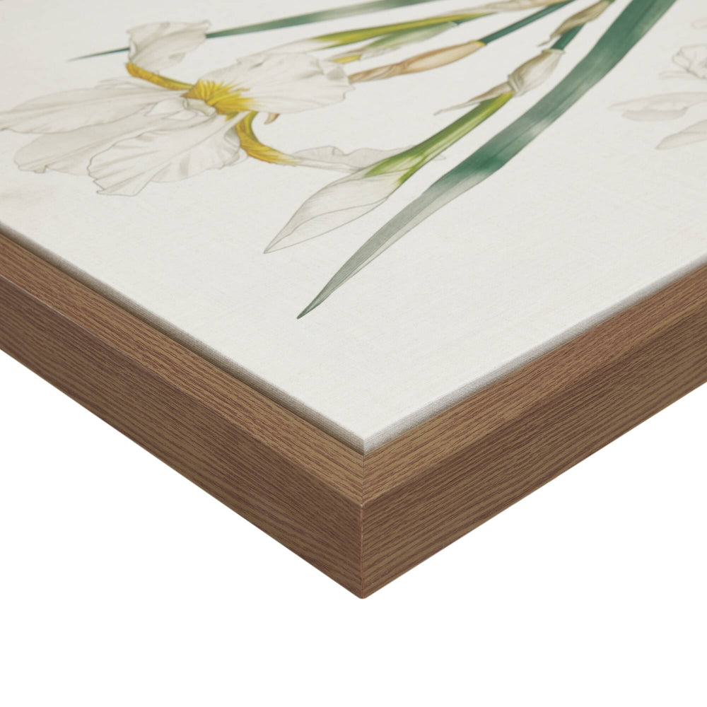 English Elm Herbal Botanical Illustration 4-Piece Framed Canvas Wall Art Set – Linen Textured, Neutral Vintage Herb Prints Decorative Panels for Living Room, Kitchen, Hallway B035P341128