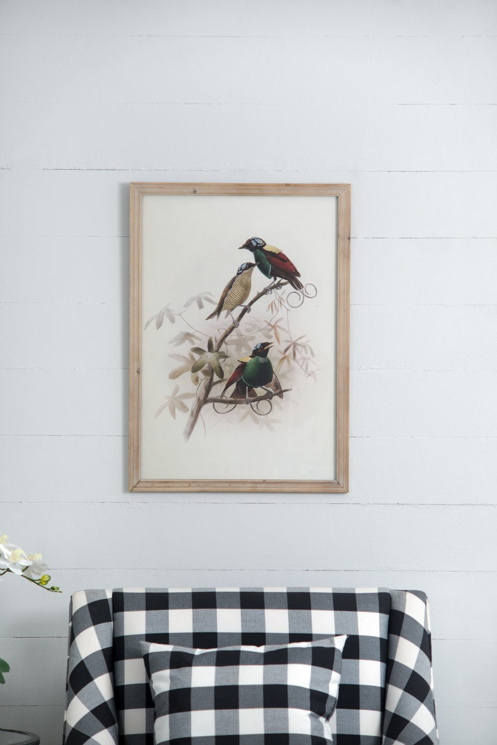 English Elm S/2 Bird Framed Print Set of 2 Multicolored Plumage Art in Light Brown Wood Frames for Home Décor (19.5x27.5) W2078P205301