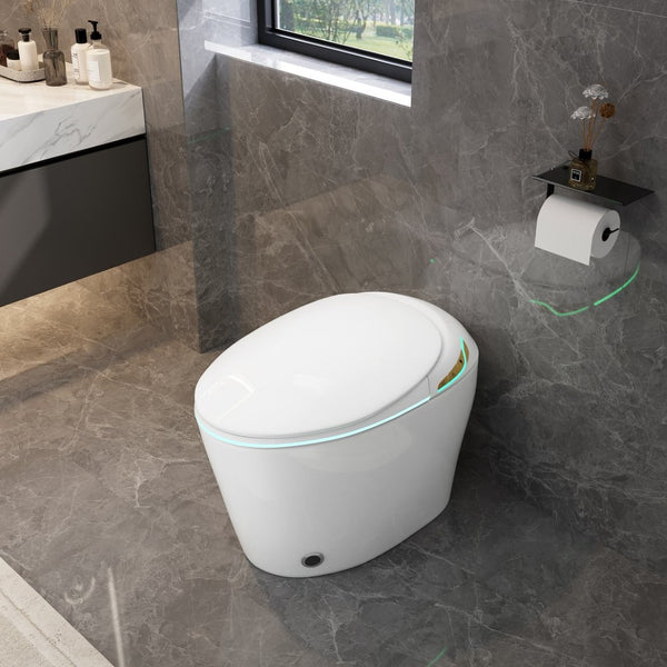English Elm Unique Smart One Piece Toilet Bidet Heated Seat Auto Flush Warm Air Dryer Spa W3133P384811