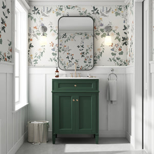 English Elm 24" Bathroom Vanity with Ceramic Basin, French-Inspired Accent Carvings, Soft-Close Doors & Storage Green N710P293309F