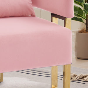 English Elm Ts Velvet Accent Chair Set of Two with Gold Metal Legs for Living Room or Office Pink W2311P414941
