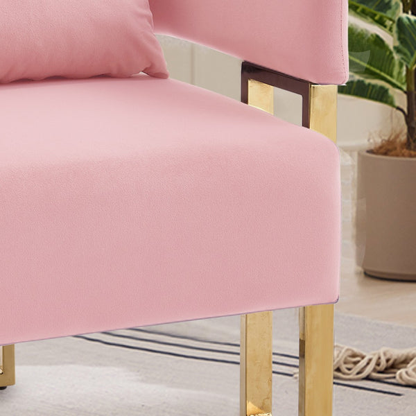 English Elm Ts Velvet Accent Chair Set of Two with Gold Metal Legs for Living Room or Office Pink W2311P414941