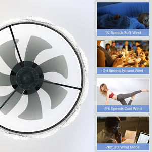 English Elm 24" Modern Quiet Ceiling Fan with LED Crystal Flush Mount, Hidden Blades, Dimmable Remote & App Control W2312P368706