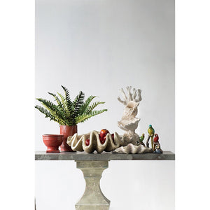 English Elm 25.3x16.5x8.5" Oversized Clam Shell Sculpture Glossy Coastal Decor Display Piece W2078P491173