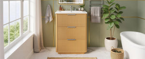 English Elm 24'' Vintage Bathroom Vanity with Ceramic Sink Soft Close Drawers Open Shelf N710P411251P