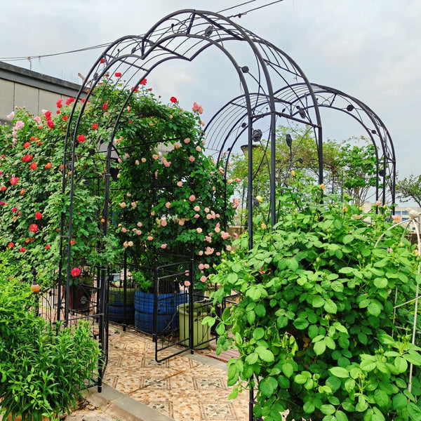 English Elm Metal Gothic Arch Garden Arbor Powder Coated Steel Trellis for Climbing Roses Black W158681100