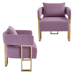 English Elm TS Modern decorative chair Lilac - Teddy fleece velvet 2PCs, gold legs, ergonomic sponge comfort, chic W2311P333677