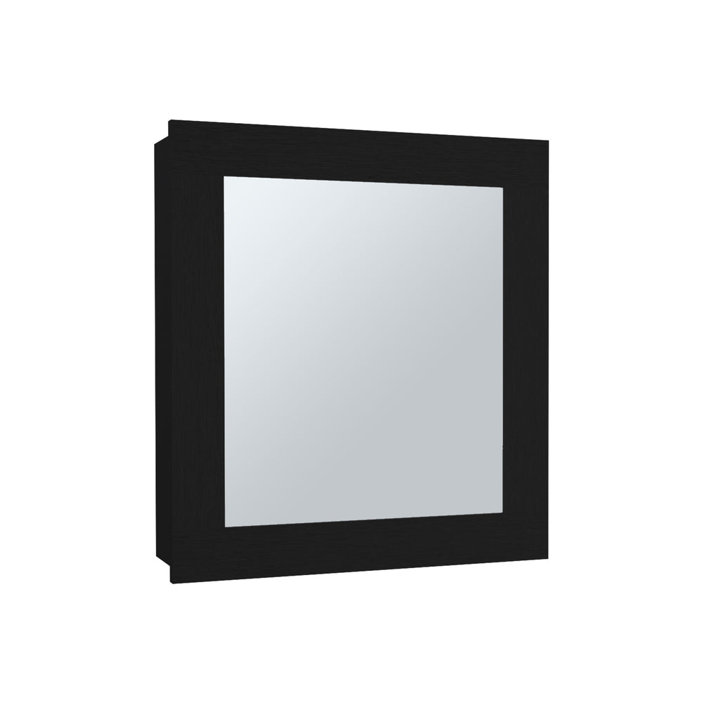 English Elm Luma Mirrored Medicine Cabinet 18.6" W x 5.7" D x 20.5" H Wall Organizer with Two Shelves, Sleek Durable Design Black 24.9 L x 20.1 W x 4 H B070P234355