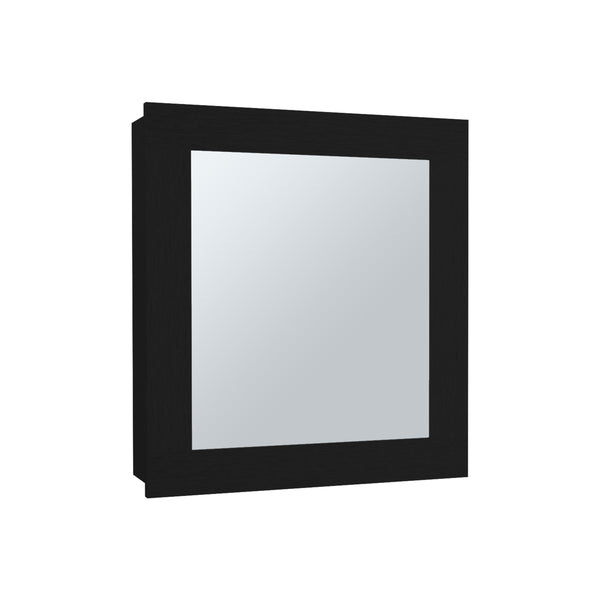 English Elm Luma Mirrored Medicine Cabinet 18.6" W x 5.7" D x 20.5" H Wall Organizer with Two Shelves, Sleek Durable Design Black 24.9 L x 20.1 W x 4 H B070P234355