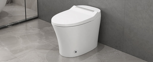 English Elm Smart toilet One-Piece Elongated Heated Seat with Foot Sensor, Dual Flush, Auto-LED Night Light, IPX4 Waterproof and Soft-Close Comfort Bowl (White) N753P222587W