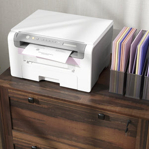 English Elm HOMCOM 2-Drawer Locking File Cabinet for Home Office, Lateral Storage, Adjustable Bars, Brown W2225P249601