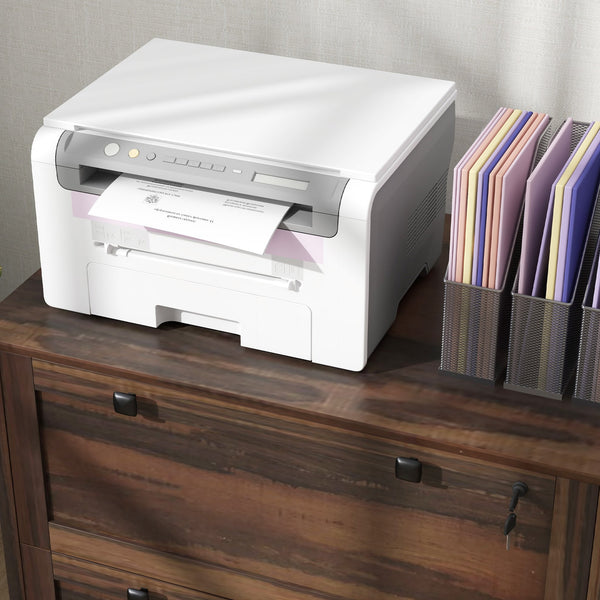 English Elm HOMCOM 2-Drawer Locking File Cabinet for Home Office, Lateral Storage, Adjustable Bars, Brown W2225P249601