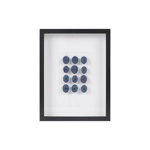 Martha Stewart Indigo Shells Modern/Contemporary Framed Sea Urchin Shadow Box Wall Decor MT95B-0065 Blue