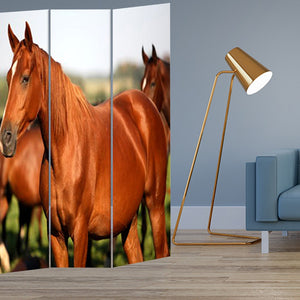 HomeRoots 48" Multi Color Wood Canvas Horse Folding Screen - Elegant Room Divider with Double-Sided Artistry 274617