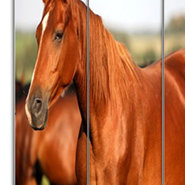 HomeRoots 48" Multi Color Wood Canvas Horse Folding Screen - Elegant Room Divider with Double-Sided Artistry 274617