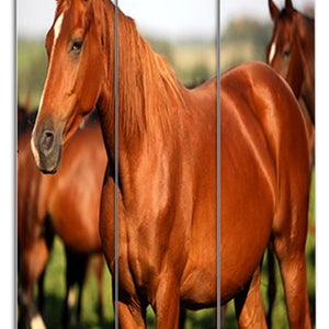 HomeRoots 48" Multi Color Wood Canvas Horse Folding Screen - Elegant Room Divider with Double-Sided Artistry 274617