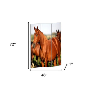 HomeRoots 48" Multi Color Wood Canvas Horse Folding Screen - Elegant Room Divider with Double-Sided Artistry 274617