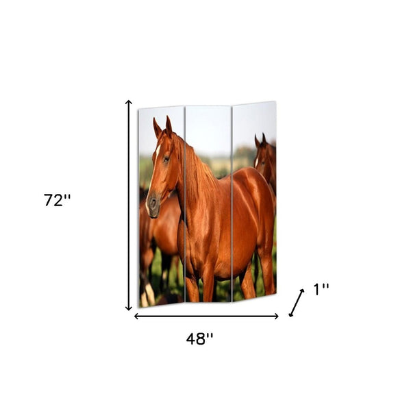 HomeRoots 48" Multi Color Wood Canvas Horse Folding Screen - Elegant Room Divider with Double-Sided Artistry 274617