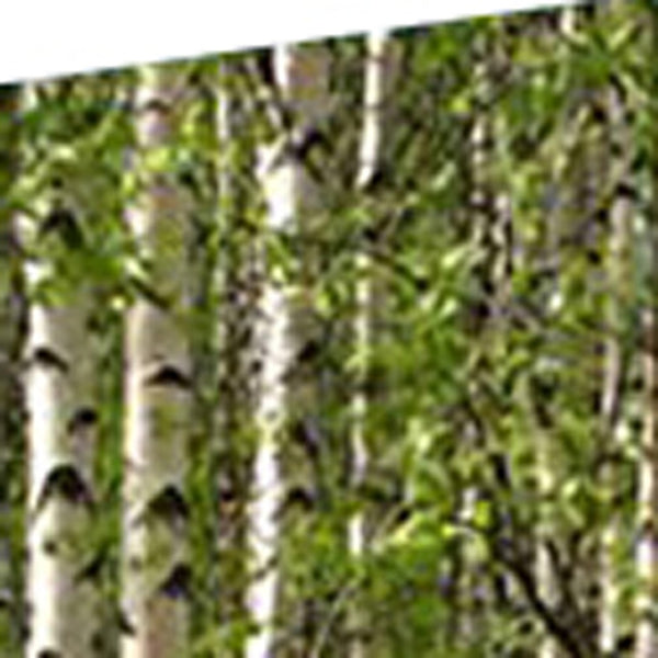 HomeRoots 84" Multi-Panel Artful Room Divider Screen - Vibrant Canvas Design, Wood Frame, & Versatile Style 274631