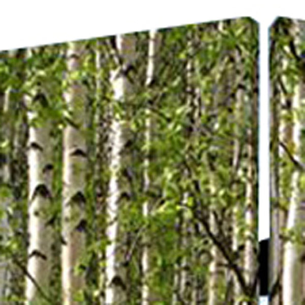 HomeRoots 84" Multi-Panel Artful Room Divider Screen - Vibrant Canvas Design, Wood Frame, & Versatile Style 274631