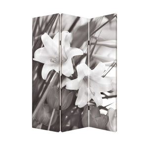 HomeRoots 48" X 72" Elegant Multi-Color Wood Canvas Folding Screen - Stylish Room Divider & Privacy Solution 274635
