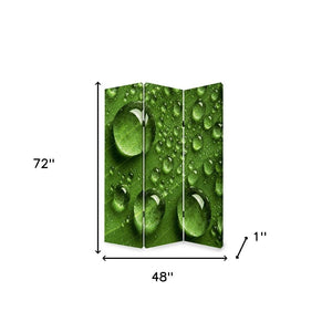 HomeRoots 48" X 72" Multi-Color Wood Canvas Room Screen - Stylish Privacy Divider with Artistic Flair & Durability 274636