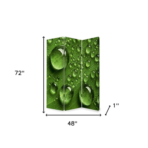 HomeRoots 48" X 72" Multi-Color Wood Canvas Room Screen - Stylish Privacy Divider with Artistic Flair & Durability 274636