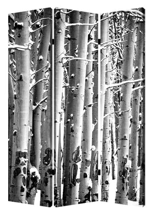 Homeroots 48" X 72" Gray And White Wood Canvas Birch  Screen  Cotton Canvas 274652