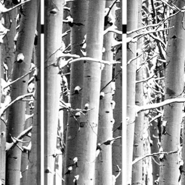 HomeRoots 48" Gray and White Wood Canvas Birch Screen - Elegant 3-Panel Folding Divider for Modern Spaces 274652