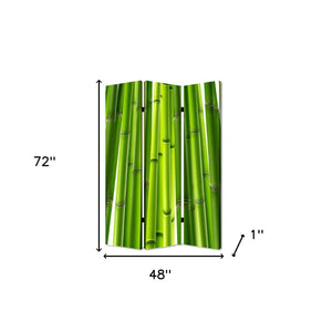 HomeRoots 48" Multi-Color Wood & Canvas Folding Screen - Versatile Room Divider & Decorative Backdrop Solution 274654