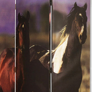 HomeRoots 48" X 72" Multi Color Canvas Screen - Elegant Three-Panel Room Divider with Stunning Equine Art 274695
